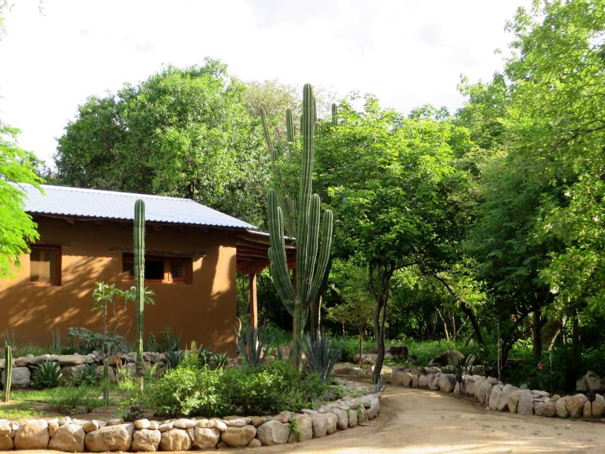 El Pedregal - Hotel En La Naturaleza Alamos Exterior photo